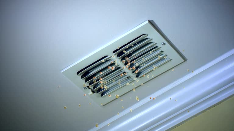 Best Affordable Duct Cleaning Services  in Bayville, NY